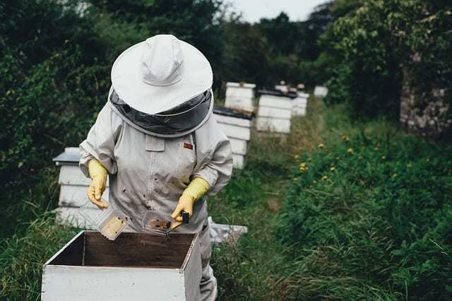 You are currently viewing Why beeswax is now one of the skincare industry's favourite ingredients.