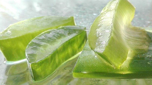 You are currently viewing How aloe works on the skin